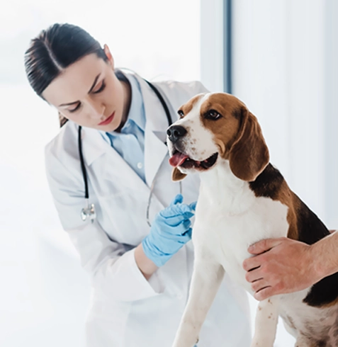 Doğanşar Veteriner