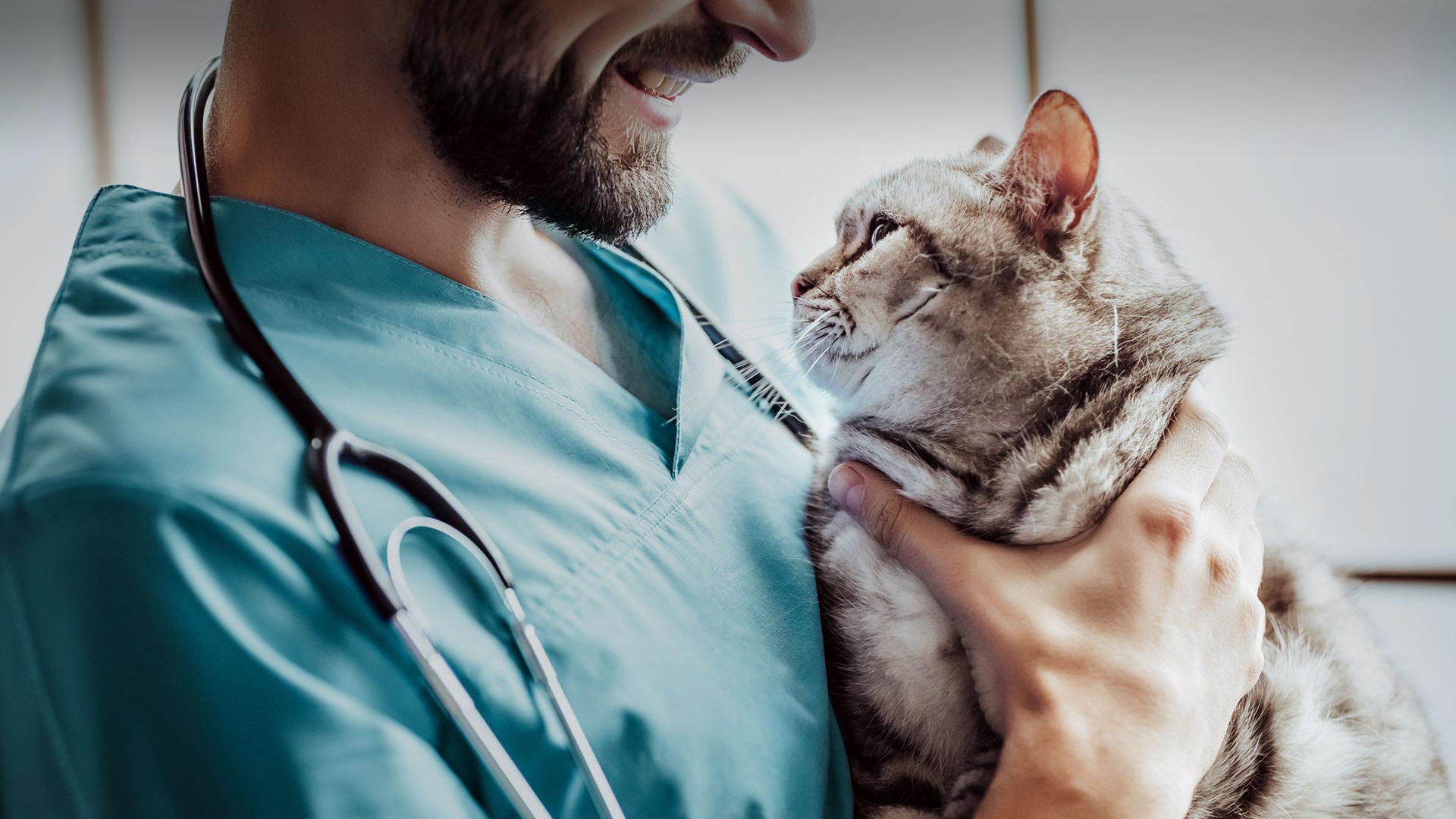 Doğanşar Veteriner